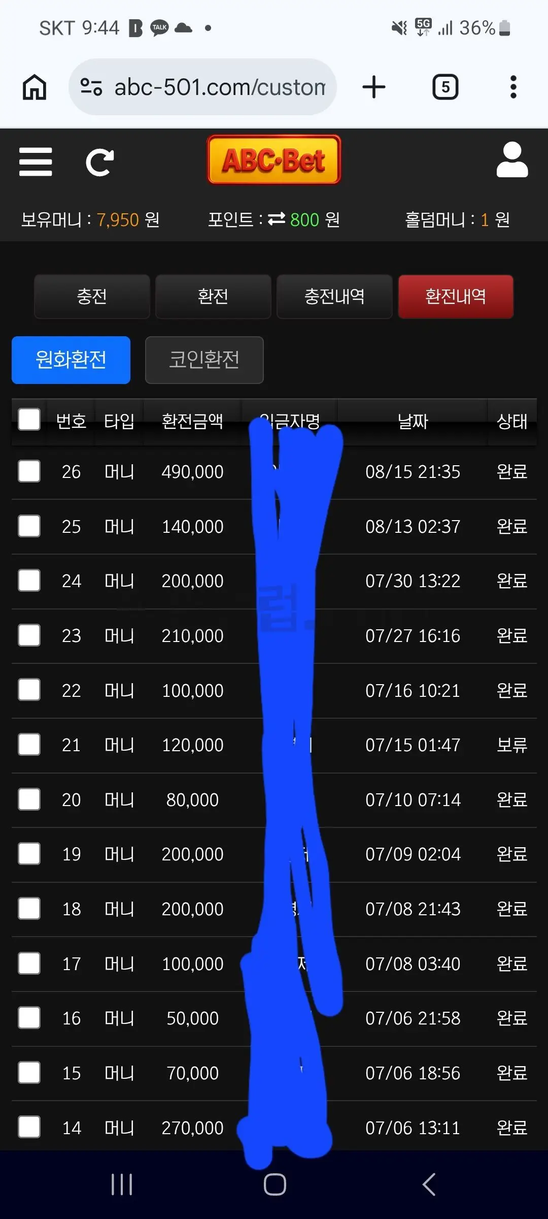 환전 인증사진