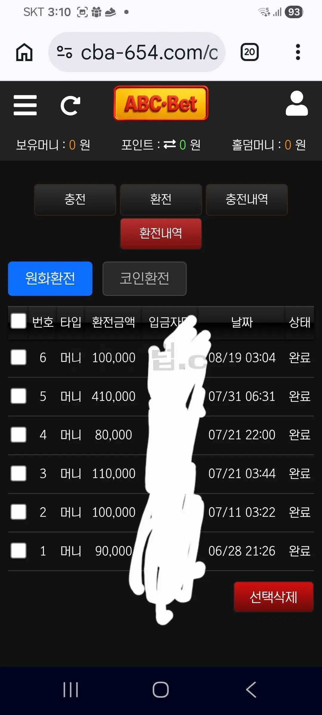 환전 인증사진