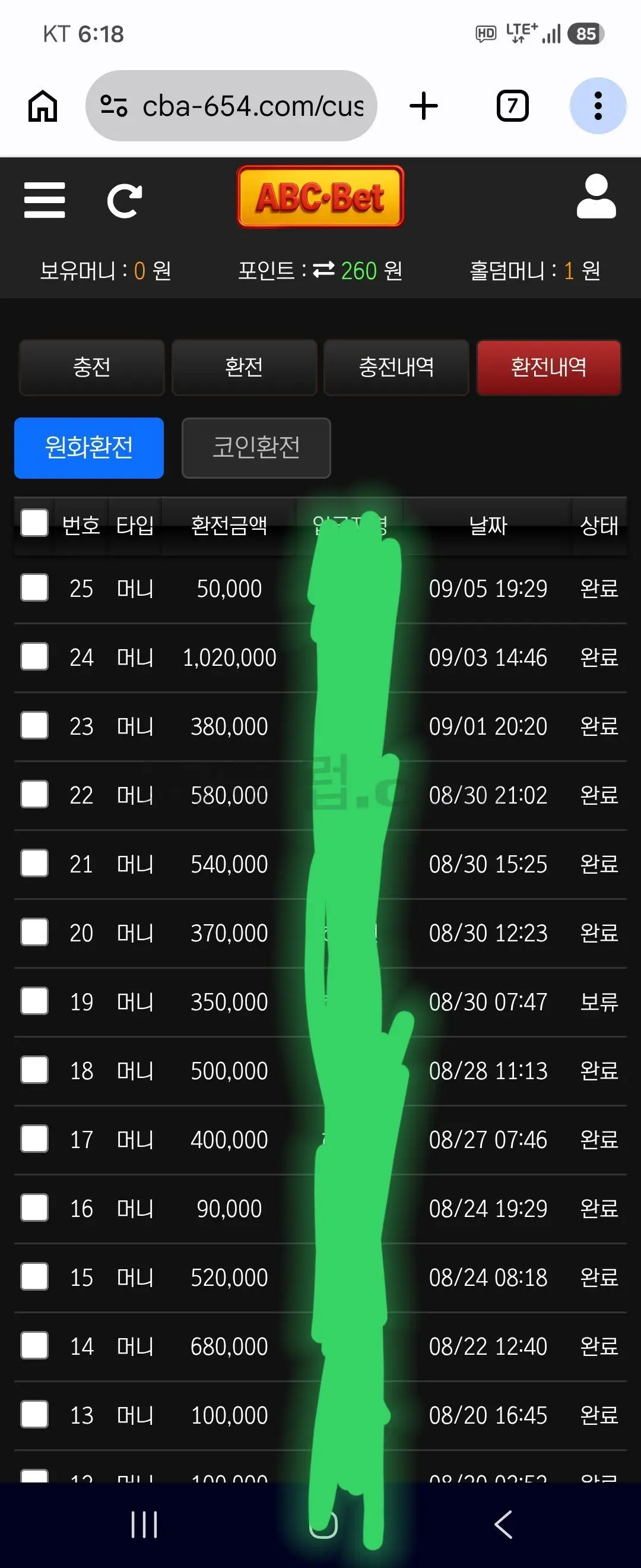 환전 인증사진