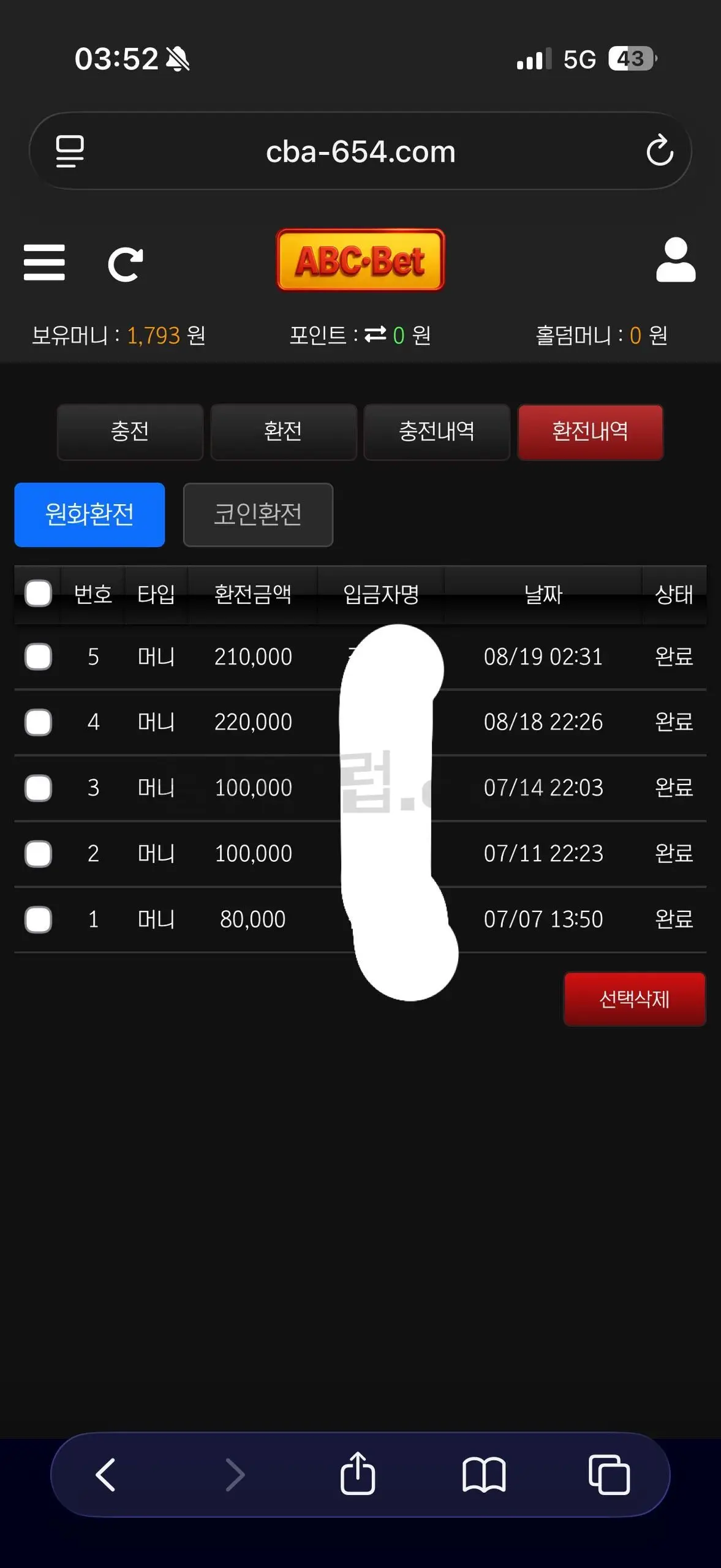 환전 인증사진