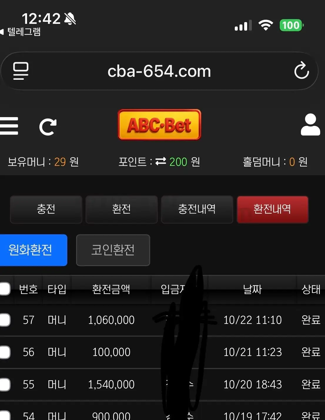 환전 인증사진